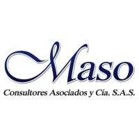 Maso Consultores Asociados y CIA  S.A.S