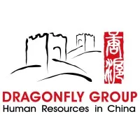Dragonfly Group HR Consulting