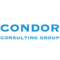 Condor Consulting Group Condor Consulting Group