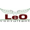 Leo Consultant Leo Consultant