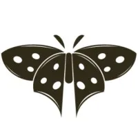 Thundermoth