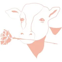 Milk and Rose