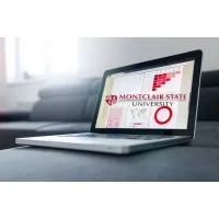 Social Research and Data Analysis