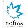 NEFMS TRADING LLC NEFMS TRADING LLC