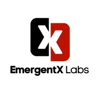 EmergentX Digital Insights | DVS 2024 Host