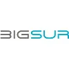 BigSur Partners BigSur Partners