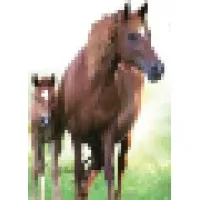 Creekside Farm Creekside Farm