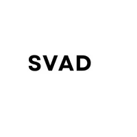 SVAD Web Development