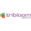 Tribloom Inc. Tribloom Inc.