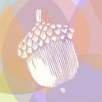 Acorn Interactive Inc