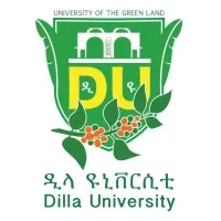 Dilla University email format