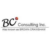 BCI Consulting Inc.