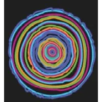 Maine Discovery Museum