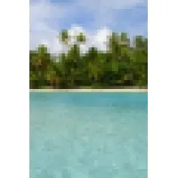 Psychotherapist and Life Coach in Private Practice