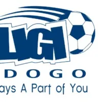 Ligi Ndogo