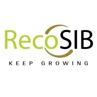 RecoSIB LLP