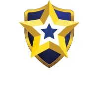 Public Safety Strategies Group