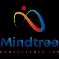 Mindtree Consultant Inc