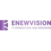 ENEWVISION LLC