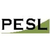 Professional Engineering Services Ltd Professional Engineering Services Ltd