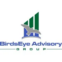 BirdsEye Advisory Group