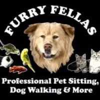 Furry Fellas LLC -Dog Walking & Pet Sitting