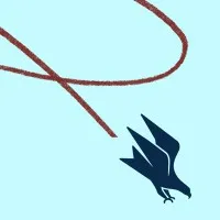 FlyteVu