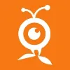 Netfolie Agency