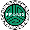 Feonix IT Solutions