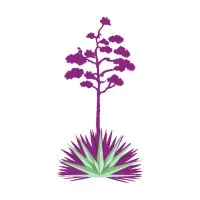 Agave Environmental Contracting, Inc.