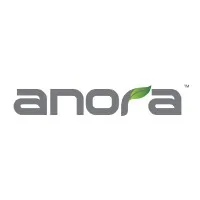 Anora Agency