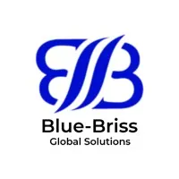 Blue-Briss Global Solutions