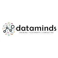 Data Minds Analytics