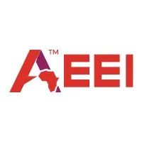 AEEI Group (African Equity Empowerment Investments Limited)