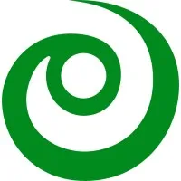 First Insight Corporation