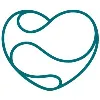 Flow Heart and Vascular