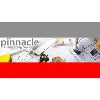 Pinnacle Estimating Services Pinnacle Estimating Services