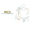 Worthit Consultancy Services Pvt Ltd Worthit Consultancy Services Pvt Ltd