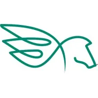 Pegasus Psychiatry Associates