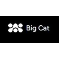 Big Cat Big Cat