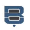 Brain Training & Consultancy Brain Training & Consultancy