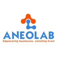 Aneolab Digital Agency