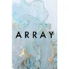 Array Inc Array Inc
