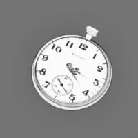 The Waltham Times