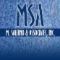 M. Salerno & Associates, Inc.
