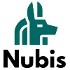 Nubis | Salesforce Solutions and Services Nubis | Salesforce Solutions and Services