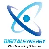 Digital Synergy Digital Synergy