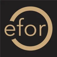 SOLADIS by Efor