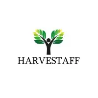 HarveStaff