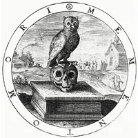 Morbid Anatomy Morbid Anatomy